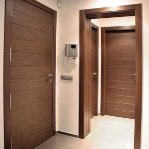 HDF WOODEN DOOR